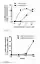 Fig. 06 - Nanoparticles for immune stimulation