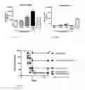 Fig. 07 - Nanoparticles for immune stimulation
