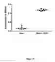 Fig. 06 - HELICOBACTER THERAPEUTIC