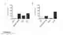 Fig. 03 - Vector production