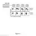 Fig. 04 - Filovirus consensus antigens, nucleic acid constructs and vaccines made therefrom, and methods of using same