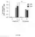 Fig. 28 - Filovirus consensus antigens, nucleic acid constructs and vaccines made therefrom, and methods of using same