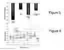 Fig. 05 - Vaccines against multiple subtypes of influenza virus