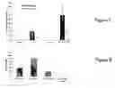 Fig. 06 - Vaccines against multiple subtypes of influenza virus