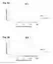 Fig. 04 - Synthetic human immunodeficiency virus (HIV) envelope antigen, vectors, and compositions thereof
