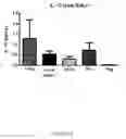 Fig. 11 - Immunotherapy composition and use thereof