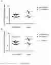Fig. 13 - Immunotherapy composition and use thereof