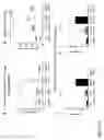 Fig. 16 - Immunotherapy composition and use thereof