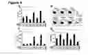 Fig. 06 - IMMUNOSTIMULATORY COMBINATIONS OF TLR LIGANDS AND METHODS OF USE