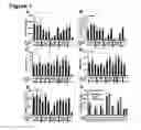 Fig. 08 - IMMUNOSTIMULATORY COMBINATIONS OF TLR LIGANDS AND METHODS OF USE