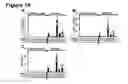 Fig. 11 - IMMUNOSTIMULATORY COMBINATIONS OF TLR LIGANDS AND METHODS OF USE