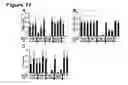 Fig. 12 - IMMUNOSTIMULATORY COMBINATIONS OF TLR LIGANDS AND METHODS OF USE