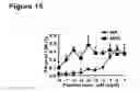 Fig. 16 - IMMUNOSTIMULATORY COMBINATIONS OF TLR LIGANDS AND METHODS OF USE