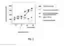 Fig. 03 - Methods of treating autoimmune diseases