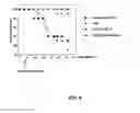 Fig. 09 - Methods of treating autoimmune diseases