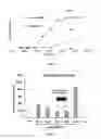 Fig. 02 - THERAPEUTIC AGENT FOR SOLID CANCER