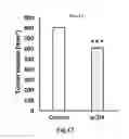 Fig. 08 - THERAPEUTIC AGENT FOR SOLID CANCER