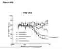 Fig. 47 - Methods for treating cancer by administering humanized pan-HER antibody compositions
