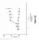 Fig. 06 - Anti-TIGIT antigen-binding proteins and methods of use thereof
