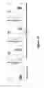 Fig. 08 - Anti-TIGIT antigen-binding proteins and methods of use thereof