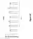 Fig. 13 - Anti-TIGIT antigen-binding proteins and methods of use thereof