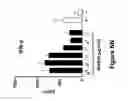Fig. 24 - Anti-TIGIT antigen-binding proteins and methods of use thereof