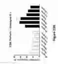 Fig. 44 - Anti-TIGIT antigen-binding proteins and methods of use thereof