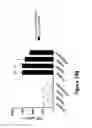 Fig. 50 - Anti-TIGIT antigen-binding proteins and methods of use thereof