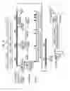 Fig. 10 - Antibody-SN-38 immunoconjugates with a CL2A linker