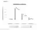 Fig. 03 - COMPOSITIONS AND METHODS FOR TREATING BACTERIAL INFECTIONS
