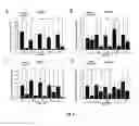 Fig. 05 - APTAMERS FOR TUMOR INITIATING CELLS
