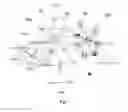 Fig. 08 - APTAMERS FOR TUMOR INITIATING CELLS