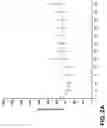 Fig. 03 - Composition for treating cancerous cells and a method therefor