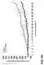 Fig. 13 - Composition for treating cancerous cells and a method therefor
