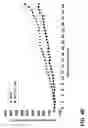 Fig. 15 - Composition for treating cancerous cells and a method therefor