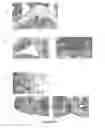 Fig. 11 - Variable domains of camelid heavy-chain antibodies directed against glial fibrillary acidic proteins