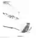 Fig. 12 - Variable domains of camelid heavy-chain antibodies directed against glial fibrillary acidic proteins