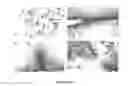 Fig. 14 - Variable domains of camelid heavy-chain antibodies directed against glial fibrillary acidic proteins