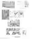 Fig. 16 - Variable domains of camelid heavy-chain antibodies directed against glial fibrillary acidic proteins