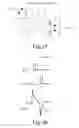 Fig. 15 - Sanitizer