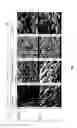 Fig. 02 - Modified ceramics with improved bioactivity and their use for bone substitute