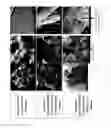 Fig. 02 - Composite biomaterials with improved bioactivity and their use for bone substitute