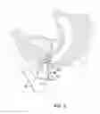 Fig. 04 - Vaginal Hygiene Assembly