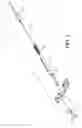 Fig. 04 - Safety needle assemblies and related methods
