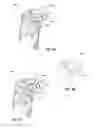 Fig. 08 - Active dry powder inhaler