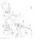 Fig. 02 - ENDOTRACHEAL TUBE HAVING OUTER AND INNER CANNULAE