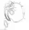 Fig. 01 - Electrode arrays for a visual prosthesis