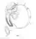 Fig. 02 - Electrode arrays for a visual prosthesis