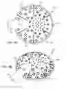 Fig. 09 - Electrode arrays for a visual prosthesis