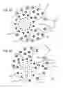 Fig. 10 - Electrode arrays for a visual prosthesis